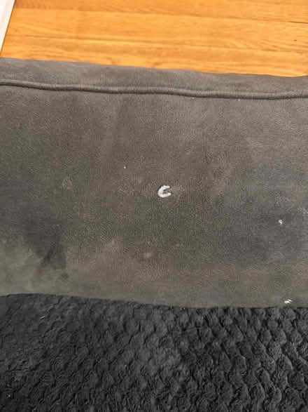 Photo of free Dog bed (Hintonburg) #2