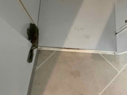 Photo of free Small cupboard with 2 adjustable shelves. (Garsington OX44) #3