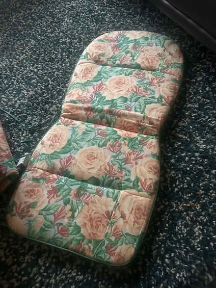Photo of free Garden chair cushions (Burgess Hill RH15) #3