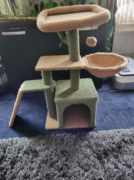 Photo of free Kitten play tree and litterbox (Oval SW8) #2