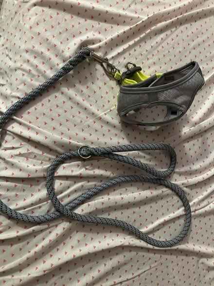 Photo of free Small dog harness and leash (West End of San Rafael) #1