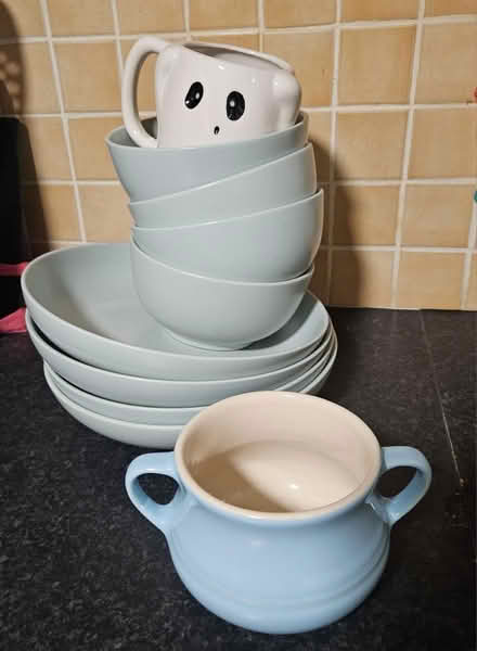 Photo of free Dinner plates bowls mug (EN7 Goffs oak) #1