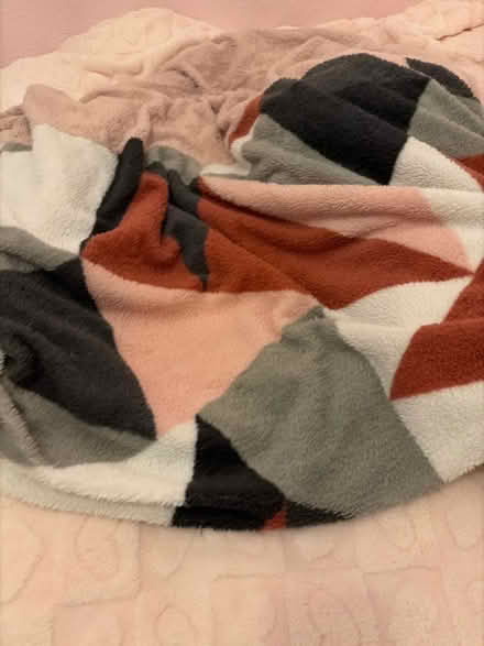 Photo of free Single teddy bear bedding (Fountainbridge EH3) #2