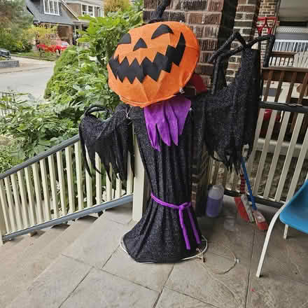 Photo of free Halloween decor (St. Clair Ave W & Oakwood Ave) #1