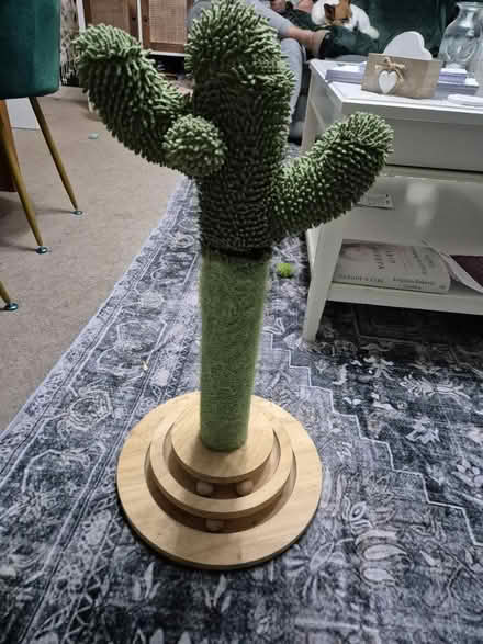 Photo of free Cactus cat scratching post & balls (RG2 Shinfield) #1