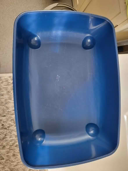 Photo of free Kitten play tree and litterbox (Oval SW8) #4