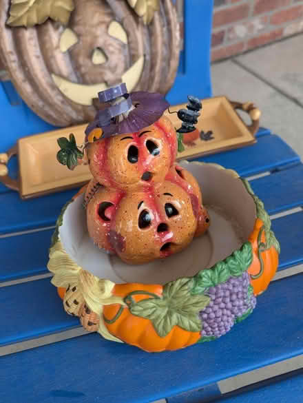 Photo of free Halloween decor and costumes (SE Aurora) #4