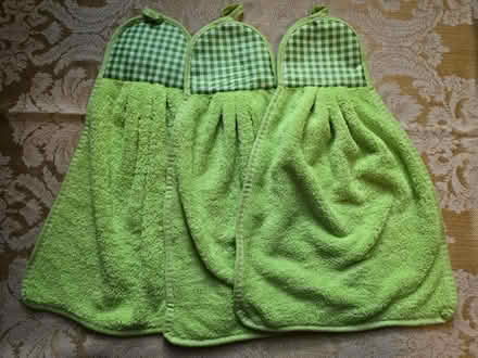Photo of free Three Green Towels/Cloths w/ Loops (West 7th) #1