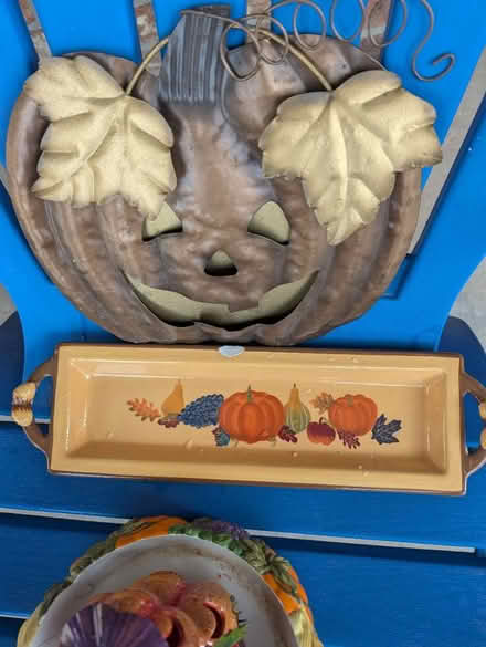 Photo of free Halloween decor and costumes (SE Aurora) #3