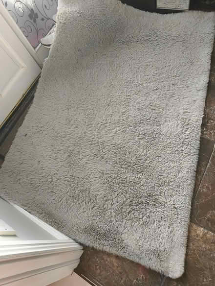 Photo of free High pile rug (Greystones) #2