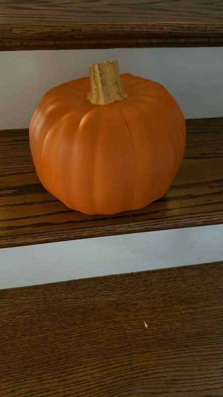 Photo of free Small Plastic Pumpkin (NE Glenview (Lake & Harms)) #1