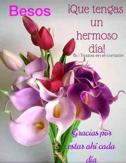 Photo of free Jlt (Upper Norwood SE19) #1