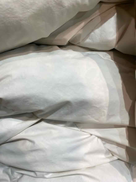 Photo of free double & single duvet, duvet cover (Wallisdown) #3