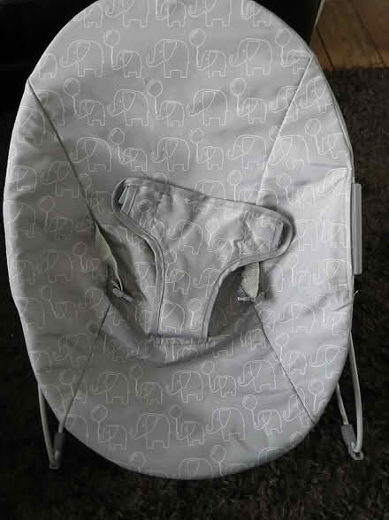 Photo of free Baby bouncer (Havant PO9) #1