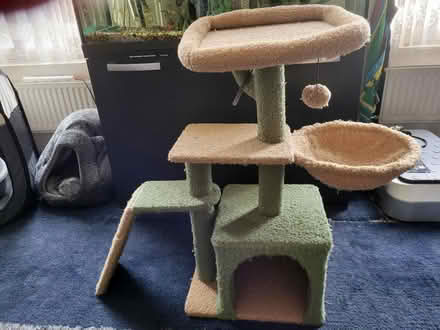 Photo of free Kitten play tree and litterbox (Oval SW8) #1