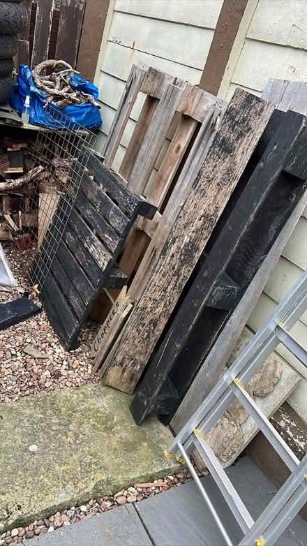 Photo of free Pallet wood (Gleedless (S12)) #1