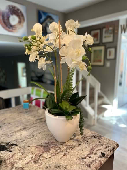 Photo of free Artificial orchid plant (83rd & Mendingwall) #1