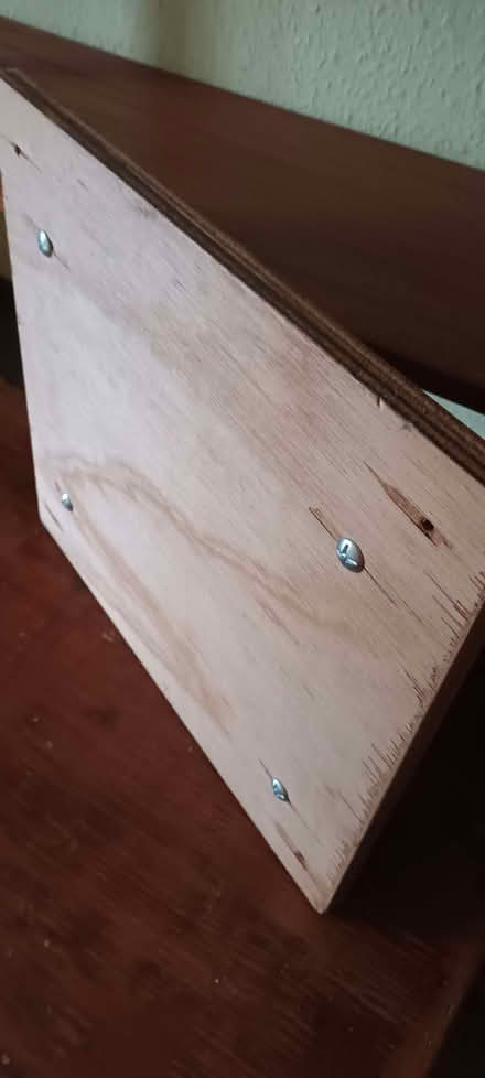 Photo of free flower press (Higher Brixham TQ5) #1