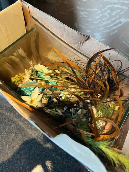 Photo of free Small fish tank bowl and bits (Bromsgrove B61) #3