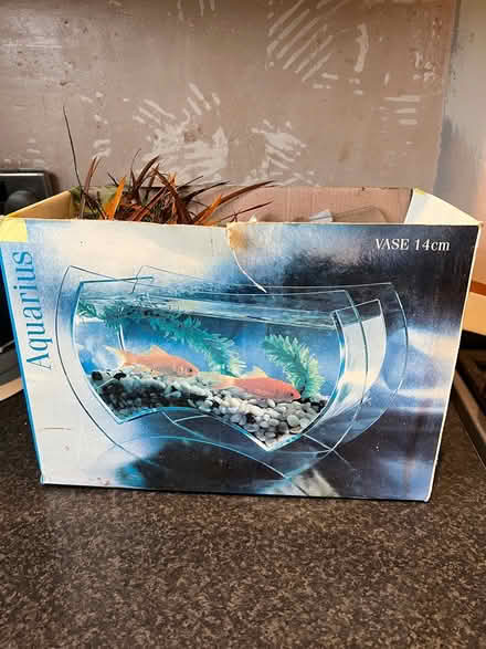 Photo of free Small fish tank bowl and bits (Bromsgrove B61) #1