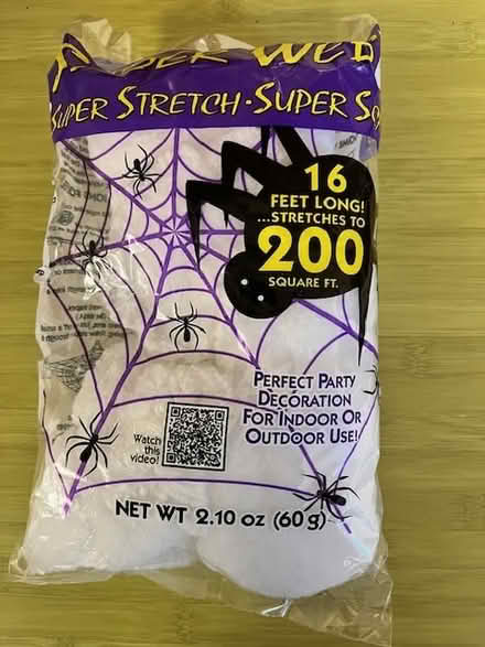 Photo of free Halloween Spider Web Stuff (west of Watertown Square) #1