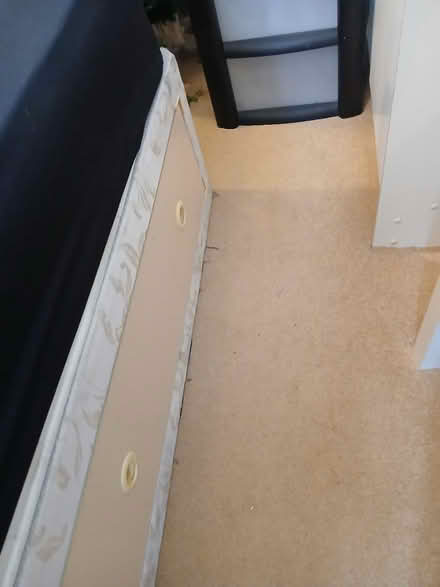 Photo of free Single bed with drawers (Ng33eq) #1