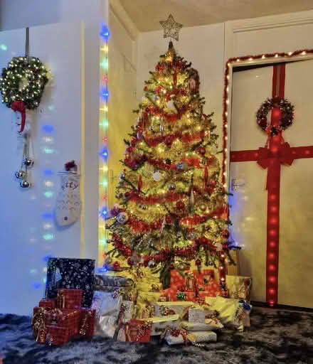 Photo of free 7ft Canadian Pine Artificial Xmas Tree (BN23 8 Langney Shops (Stone Cross BN23) #2