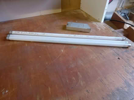 Photo of free 20in Fluorescent Tubes (Gaywood PE30) #1