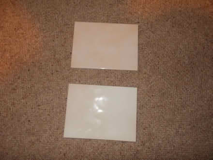 Photo of free Tiles (West Malvern CP WR14) #1