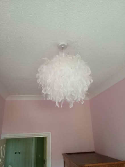 Photo of free White feather lampshade (Stoughton GU2) #1
