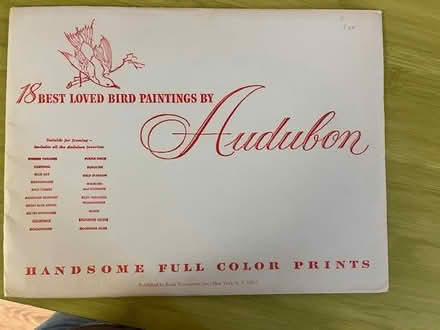Photo of free Audubon Bird Prints (west of Watertown Square) #2