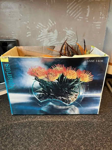 Photo of free Small fish tank bowl and bits (Bromsgrove B61) #2