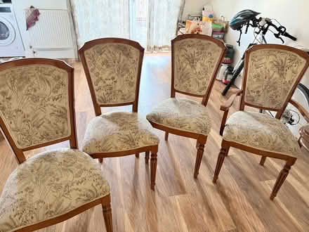 Photo of free Dining chairs (Abbey Wood DA17) #1