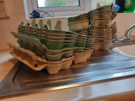 Photo of free Egg Boxes (St Nicholas SG1) #1