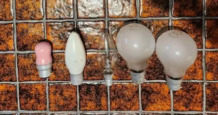 Photo of free Various lightbulbs (New Tupton S42) #1