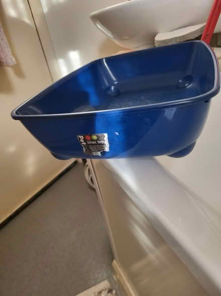 Photo of free Kitten play tree and litterbox (Oval SW8) #3