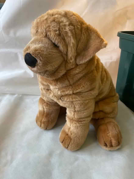 Photo of free Toy dog (Dean EH4) #1