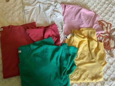Photo of free Jumper tops ladies 16/18 (The Meadows NG2) #1