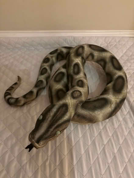 Photo of free Large rubber snake toy (Stinchcombe GL11) #1