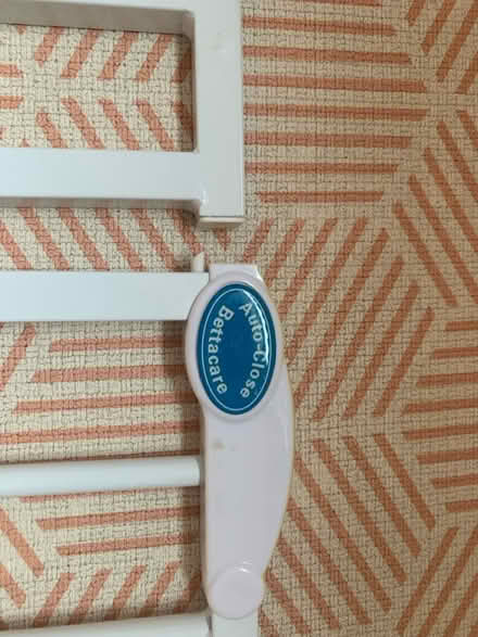 Photo of free Safety gate (Penylan CF23) #3