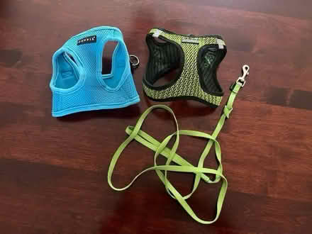 Photo of free Dog leash and harnesses (Scarsdale/New Rochelle) #1