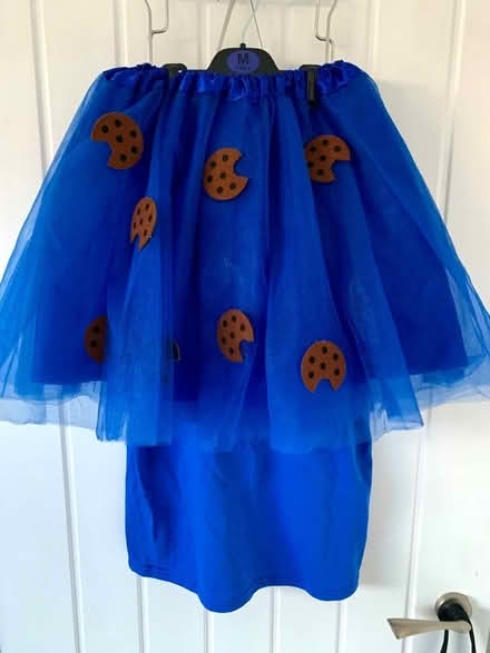 Photo of free Cookie Monster costume 9-11 years (BS11) #2
