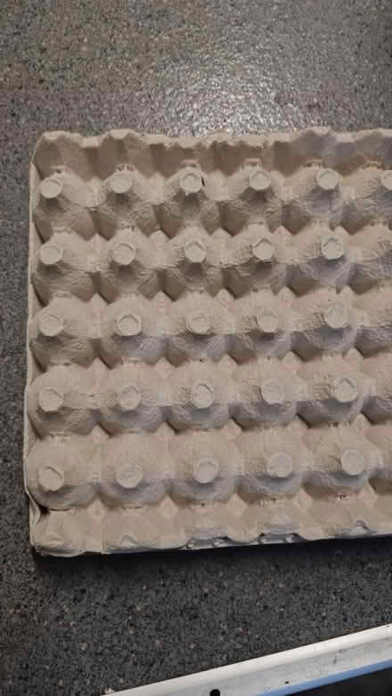 Photo of free Egg carton (Upper Norwood SE19) #1