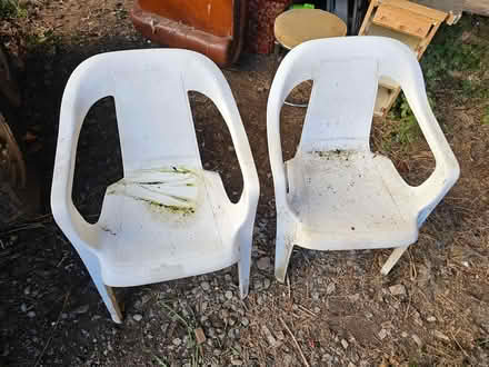 Photo of free 2 white plastic chairs (Mortimers Cross HR6) #2