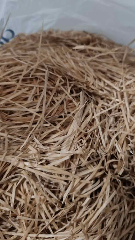 Photo of free Bag of straw (Upper Norwood SE19) #1