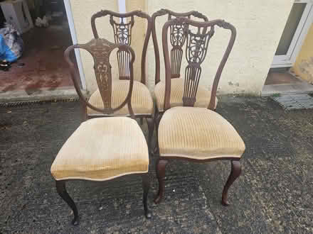 Photo of free 4 dining room chairs (Paignton TQ3) #1