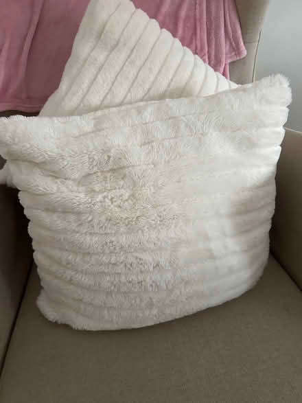 Photo of free 2 white plump cushions (ware SG12) #2