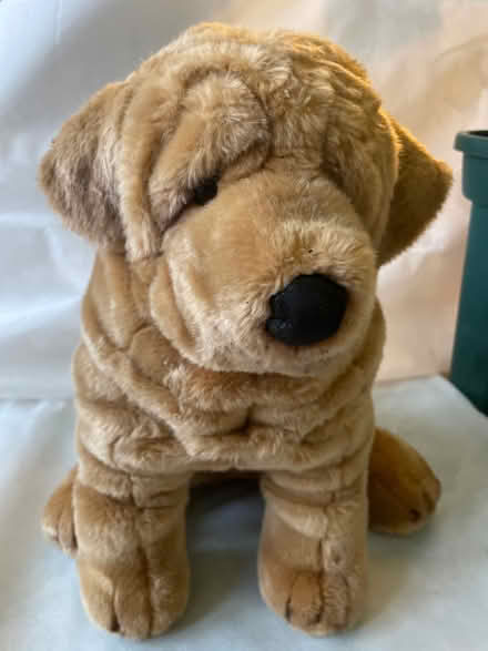 Photo of free Toy dog (Dean EH4) #2