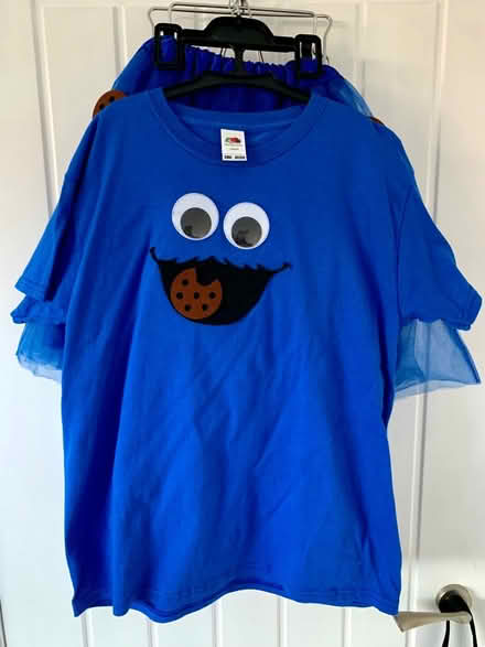 Photo of free Cookie Monster costume 9-11 years (BS11) #3