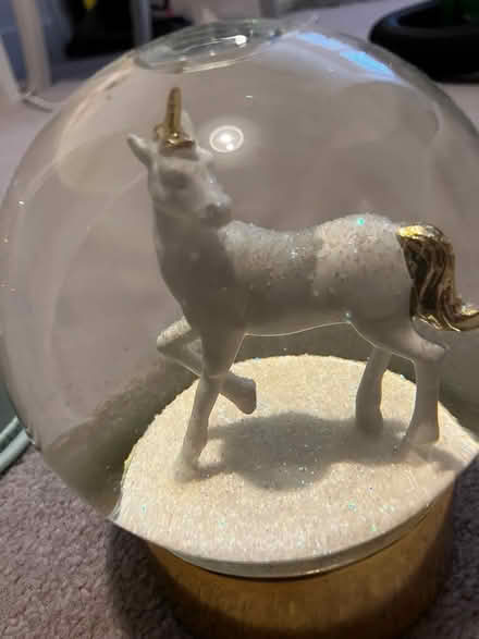 Photo of free Unicorn snow globes (North chichester) #3